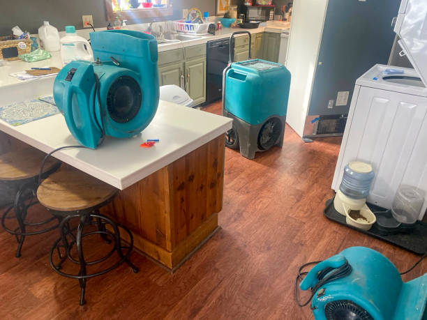 Best Water damage contractors near me  in Pink, OK