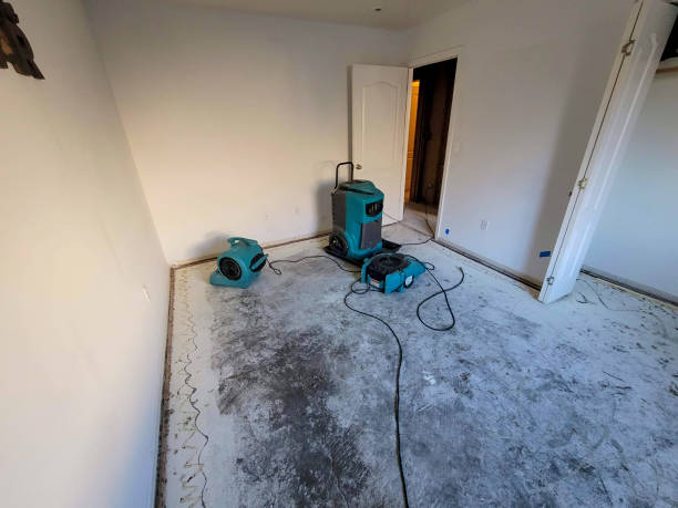 Best Residential water damage restoration  in Pink, OK