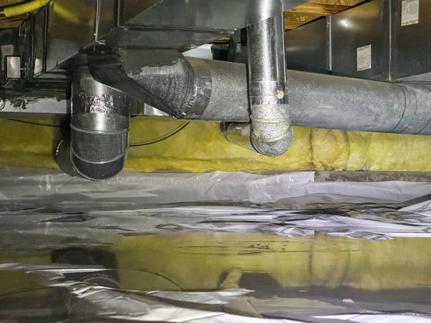 Best Flood damage cleanup  in Pink, OK