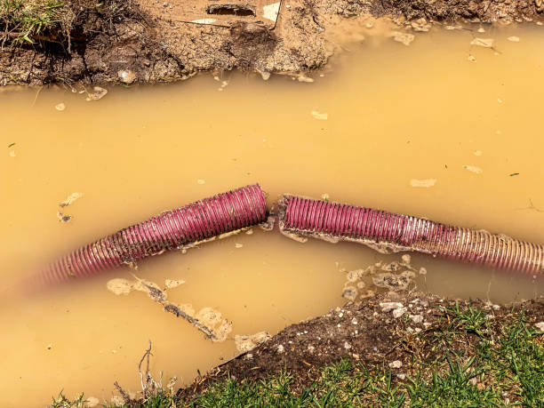 Pink, OK Water damage restoration Pros